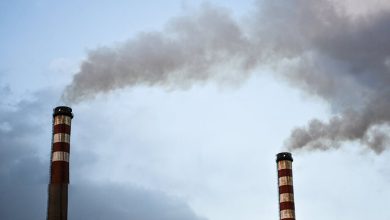رئیس هیئت مدیره انجمن علمی هوای پاک: وزارت نفت در مورد سوخت نیروگاه‌های تهران پاسخ دهد