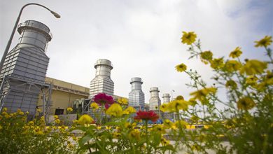 نیروگاه گازی خلیج فارس حامی محیط زیست در تولید انرژی پاک