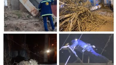 پایداری شبکه برق استان پس از وزش شدید باد و طوفان شب گذشته